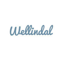 Codice Sconto Wellindal